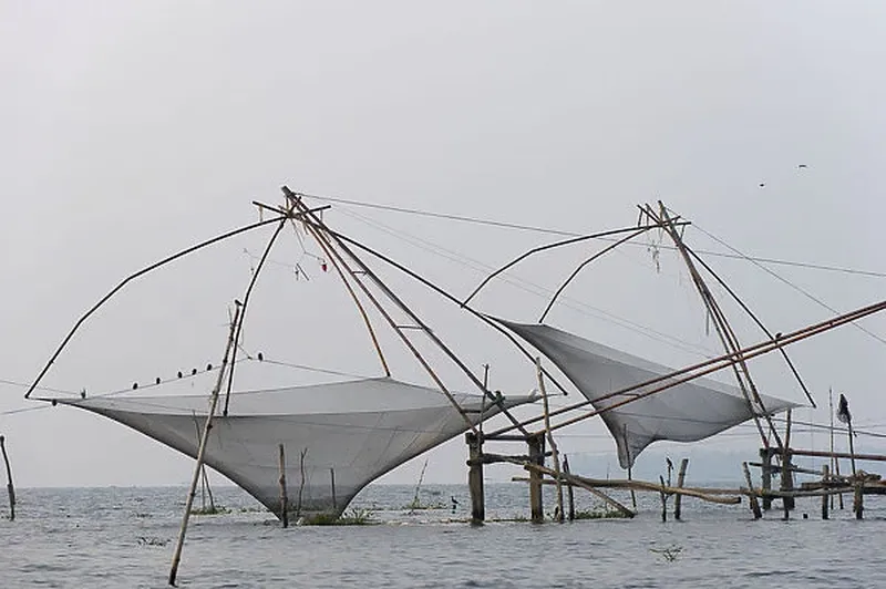 Image Kochi - Chinese Fishing Nets image beautiful image beautiful image beautiful image beautiful image beautiful image beautiful image beautiful - Chinese fishing nets, Vembanad lake, Kerala, India