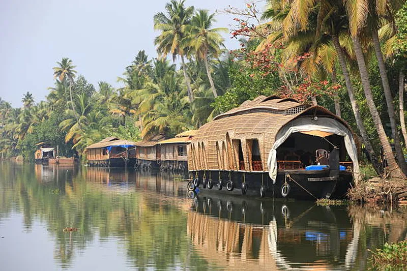 Image Kumarakom - Backwaters image beautiful - 450+ Asia Kerala Backwaters Canal Coconut Palm Tree Stock Photos ...