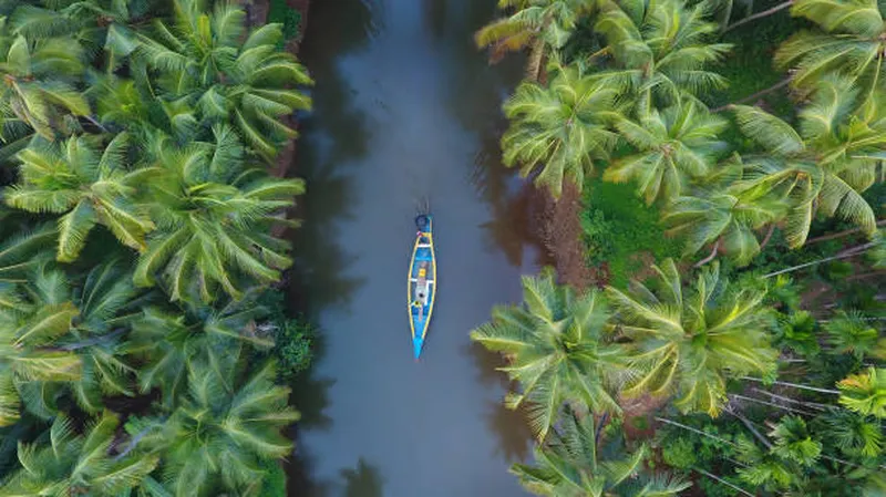 Image Kumarakom - Backwaters image beautiful image beautiful image beautiful - 870+ Kerala Backwaters And Coconut Trees Stock Photos, Pictures ...