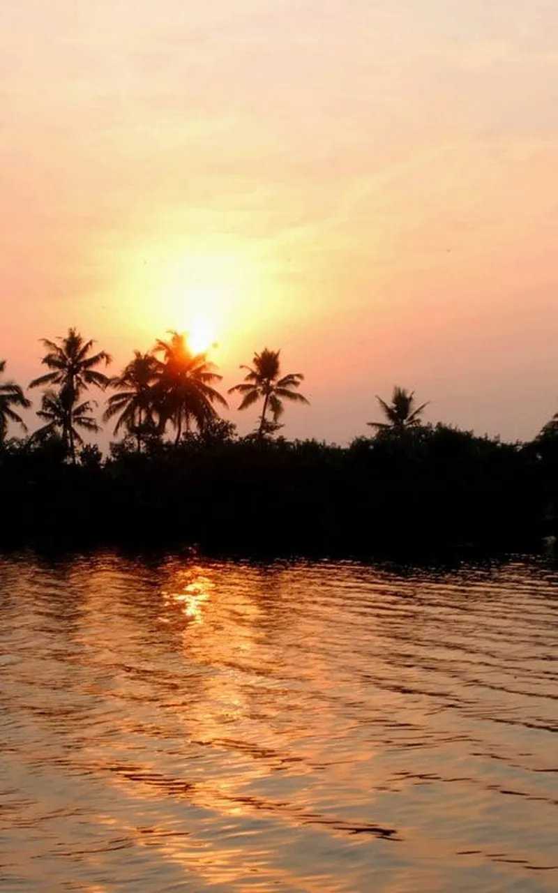 Image Kumarakom - Backwaters image beautiful image beautiful image beautiful - Indian Ocean holidays - Steppes Travel