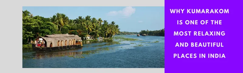 Image Kumarakom - Backwaters image beautiful image beautiful image beautiful - Know Why Kumarakom Is One Of The Most Relaxing And Beautiful ...