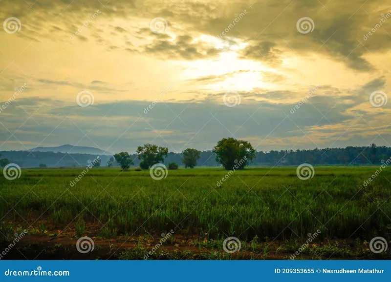 Image Kumarakom - Backwaters image beautiful image beautiful image beautiful image beautiful image beautiful image beautiful - Beautiful Environment Waterscape in Kerala India Stock Image ...