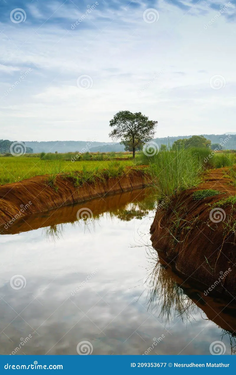 Image Kumarakom - Backwaters image beautiful image beautiful image beautiful image beautiful image beautiful image beautiful - Beautiful Environment Waterscape in Kerala India Stock Image ...