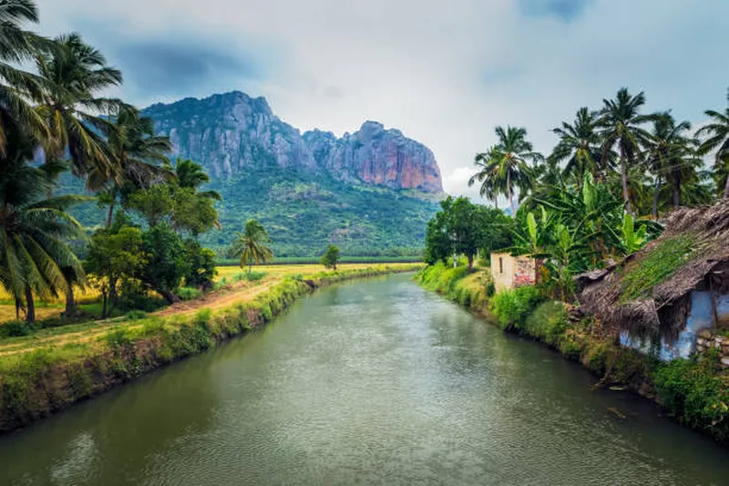 Image Kumarakom - Backwaters image beautiful image beautiful image beautiful image beautiful image beautiful image beautiful image beautiful - 1,500+ Backwater Village Stock Photos, Pictures & Royalty-Free ...