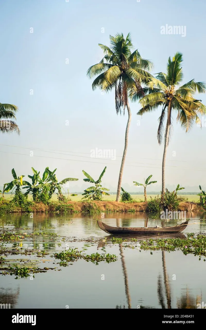 Image Kumarakom - Backwaters image beautiful image beautiful image beautiful image beautiful image beautiful image beautiful image beautiful image beautiful image beautiful image beautiful - Alleppey backwaters hi-res stock photography and images - Alamy