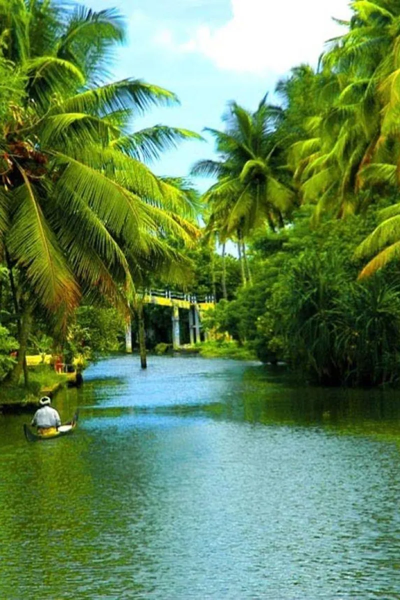 Image Kumarakom - Backwaters image beautiful image beautiful image beautiful image beautiful image beautiful image beautiful image beautiful image beautiful image beautiful image beautiful - Nature Beauty, Backwater of Kerala Tour (05 Nights/06 Days ...