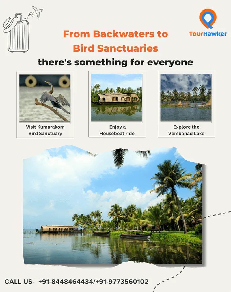 Image Kumarakom - Bird Sanctuary image beautiful image beautiful - Experience the serene beauty of Kumarakom with TourHawker ...