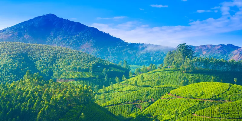 Image Kumarakom - Bird Sanctuary image beautiful image beautiful image beautiful image beautiful image beautiful - 10 Amazing Things To Do In Kerala | Elements | Travel & Culture