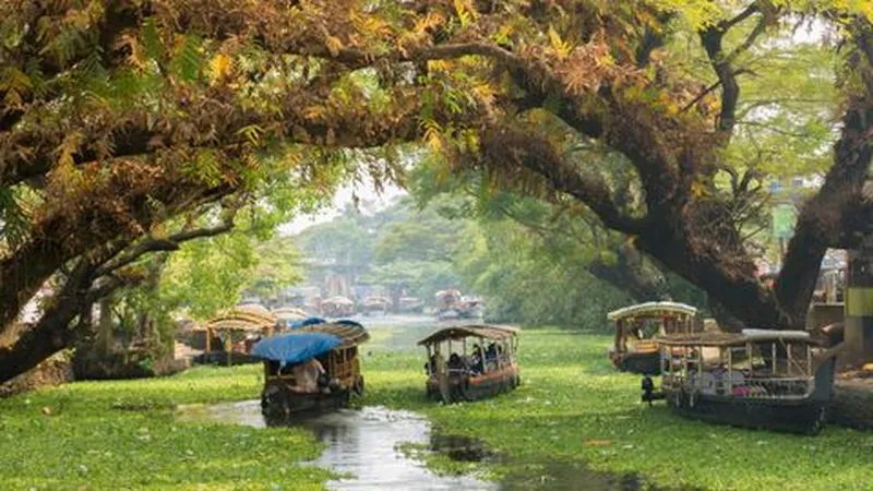 Image Kumarakom - Bird Sanctuary image beautiful image beautiful image beautiful image beautiful image beautiful image beautiful - Most Beautiful Places In India (Scenic Natural & Cultural Heritage ...