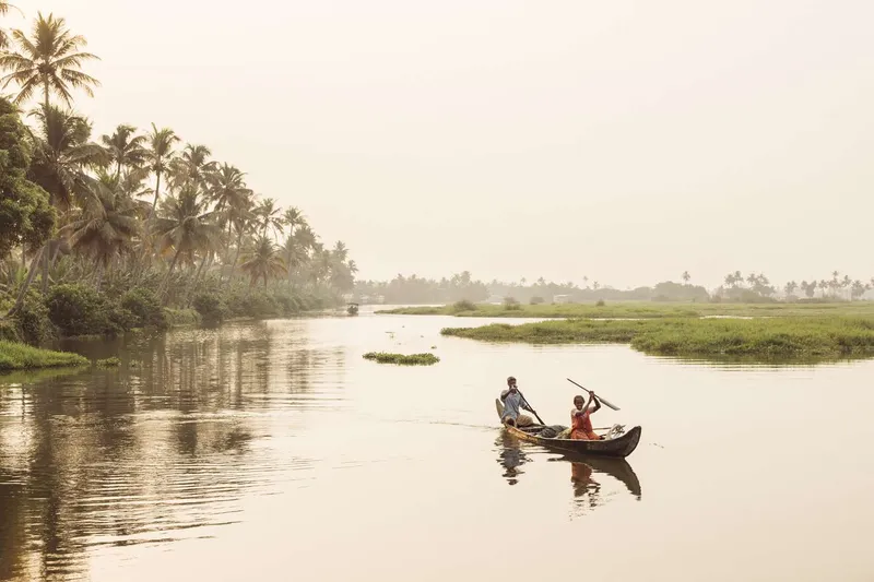 Image Kumarakom - Bird Sanctuary image beautiful image beautiful image beautiful image beautiful image beautiful image beautiful image beautiful - An Ancestral Trip to Kerala, India