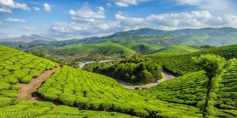 Image Kumarakom - Bird Sanctuary image beautiful image beautiful image beautiful image beautiful image beautiful image beautiful image beautiful - South India Explorer 14 day tour | On The Go Tours