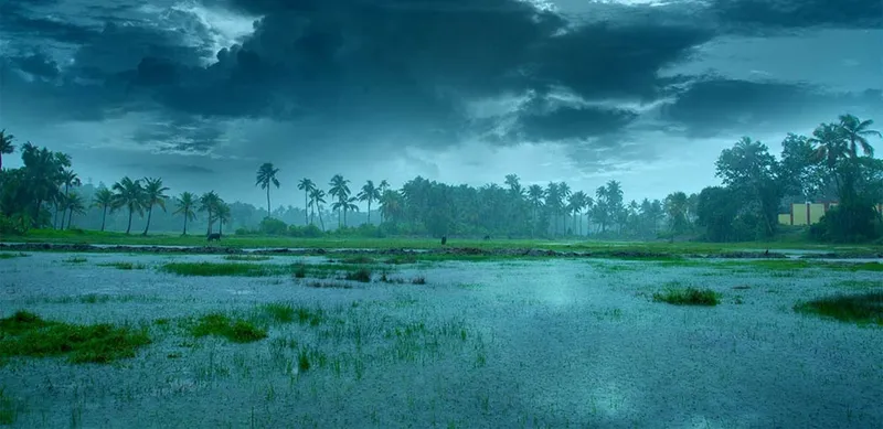 Image Kumarakom - Bird Sanctuary image beautiful image beautiful image beautiful image beautiful image beautiful image beautiful image beautiful image beautiful - Monsoon Magic: Romantic Destinations in South India