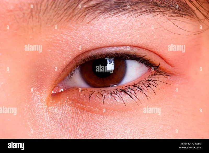 Image Left Eye image beautiful - Extra close-up of left eye of beautiful asian female Stock Photo ...