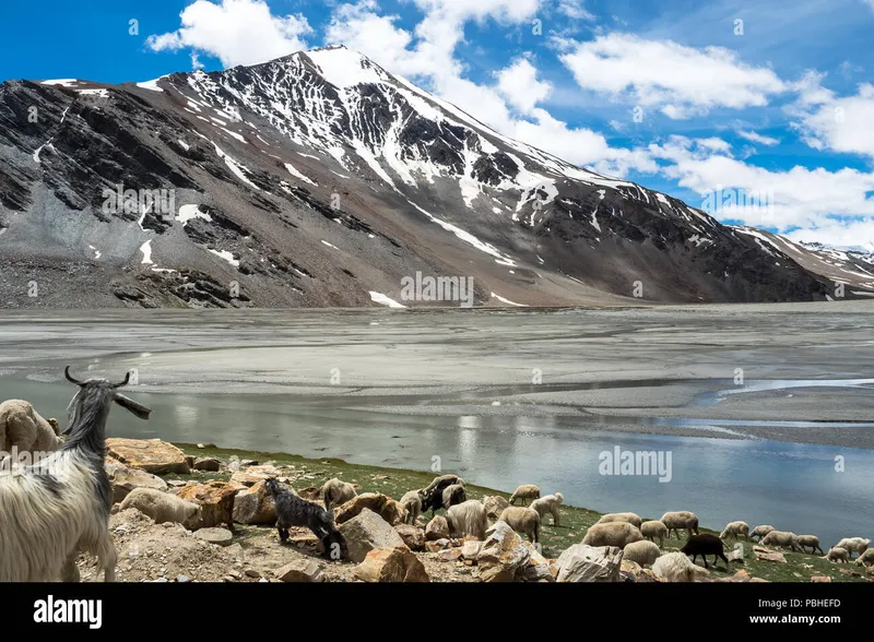 Image Leh-Ladakh - High-altitude Desert image beautiful - Beautiful himalayan view of ladakh region (Manali - Leh Road ...