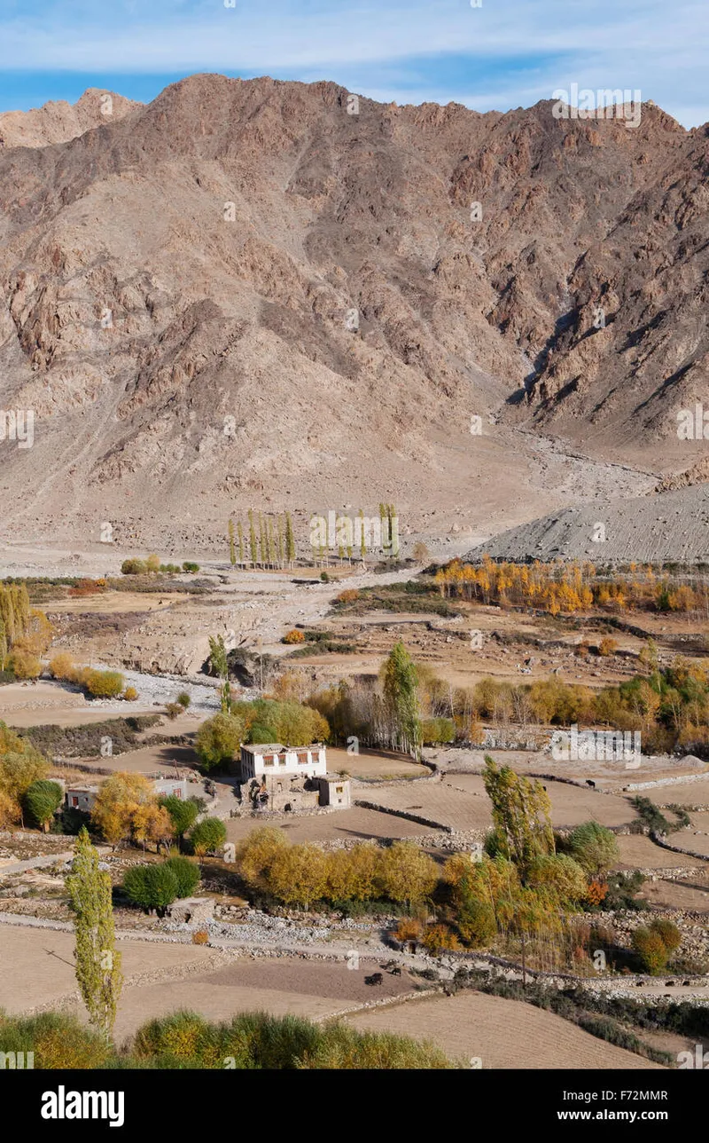 Image Leh-Ladakh - High-altitude Desert image beautiful image beautiful - Beautiful small village at Leh during falls, Ladakh, India Stock ...