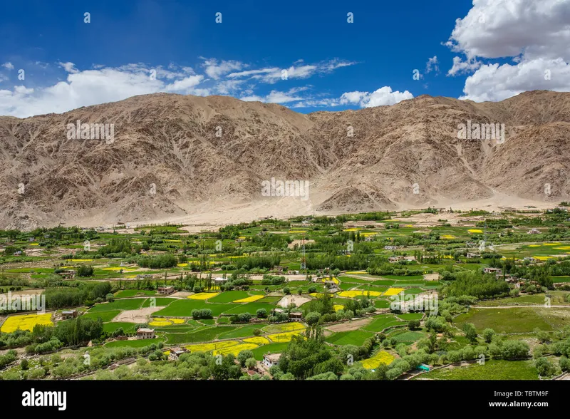 Image Leh-Ladakh - High-altitude Desert image beautiful image beautiful - Leh valley town ladakh himalaya hi-res stock photography and ...