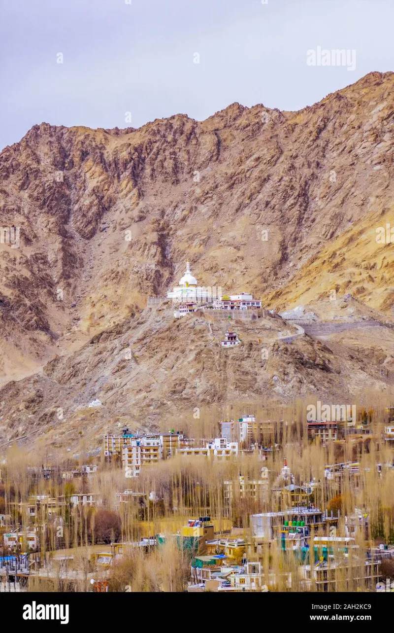 Image Leh-Ladakh - High-altitude Desert image beautiful image beautiful image beautiful - Leh city and Leh Palace, Leh - Ladakh, Jammu and Kashmir, India ...