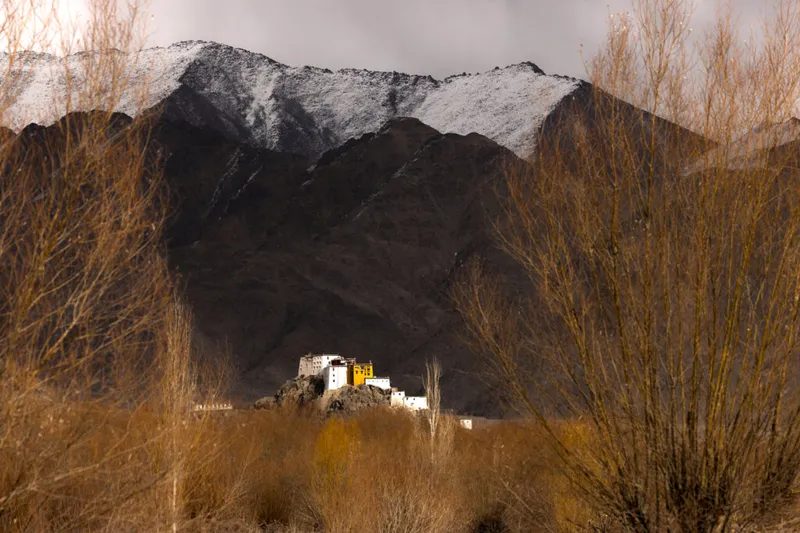 Image Leh-Ladakh - High-altitude Desert image beautiful image beautiful image beautiful image beautiful - Wild Images Photography Tours | Snow Leopards of Ladakh ...