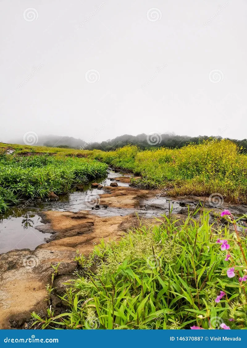 Image Lonavala - Hill Station image beautiful image beautiful image beautiful image beautiful image beautiful - Small Water Trails in Lonavala. Greenery Stock Image - Image of ...