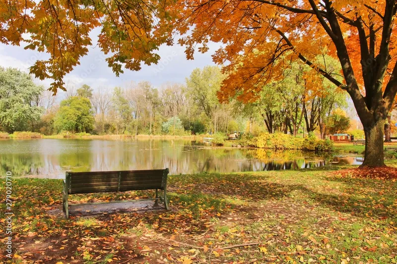 Image Madison image beautiful image beautiful image beautiful image beautiful image beautiful image beautiful image beautiful image beautiful - Midwest nature background with park view. Beautiful autumn ...