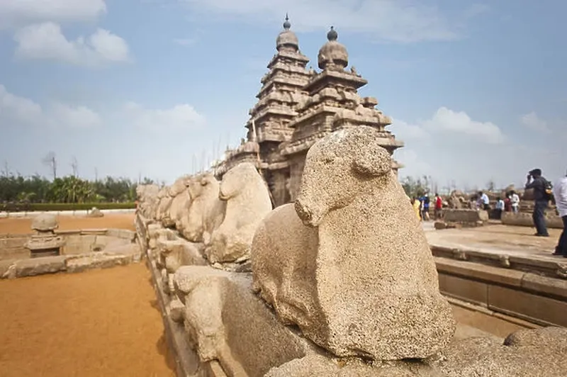 Image Mahabalipuram - Shore Temples image beautiful image beautiful image beautiful image beautiful image beautiful image beautiful - Sculptures of Nandi Bull around ancient Shore Temple at