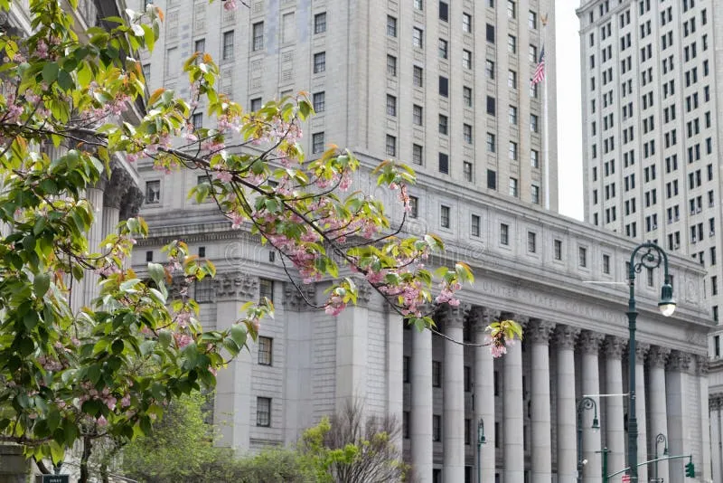 Image Manhattan federal courthouse image beautiful image beautiful image beautiful image beautiful - Beautiful Flowering Tree in Front of the Thurgood Marshall United ...