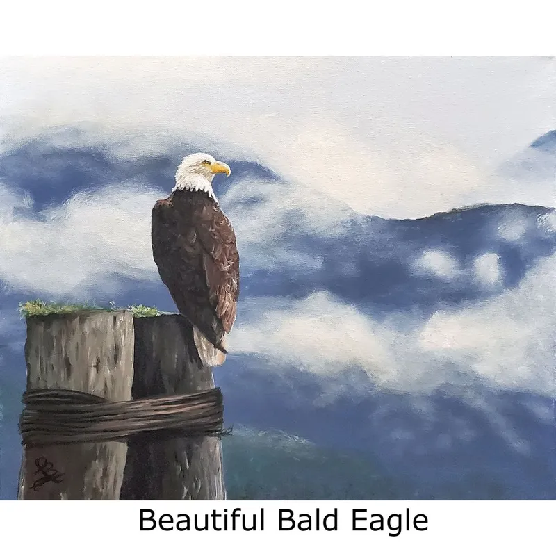 Image Michelle image beautiful image beautiful image beautiful image beautiful - Beautiful Bald Eagle — Michelle the Painter