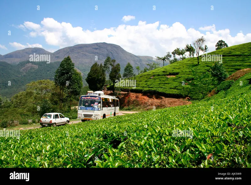 Image Munnar - Hill Station image beautiful - Tourist vehicles reaching and leaving the beautiful hill station ...