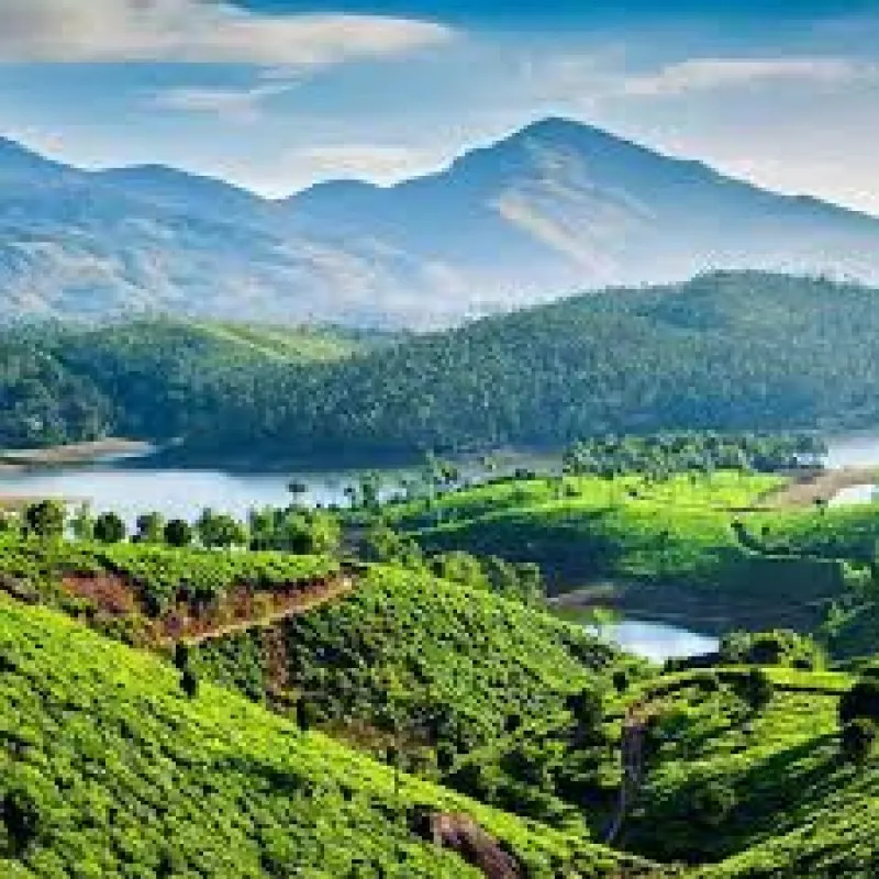 Image Munnar - Hill Station image beautiful image beautiful - Tea Valley And Munnar Hill Station Tour 2N/3D