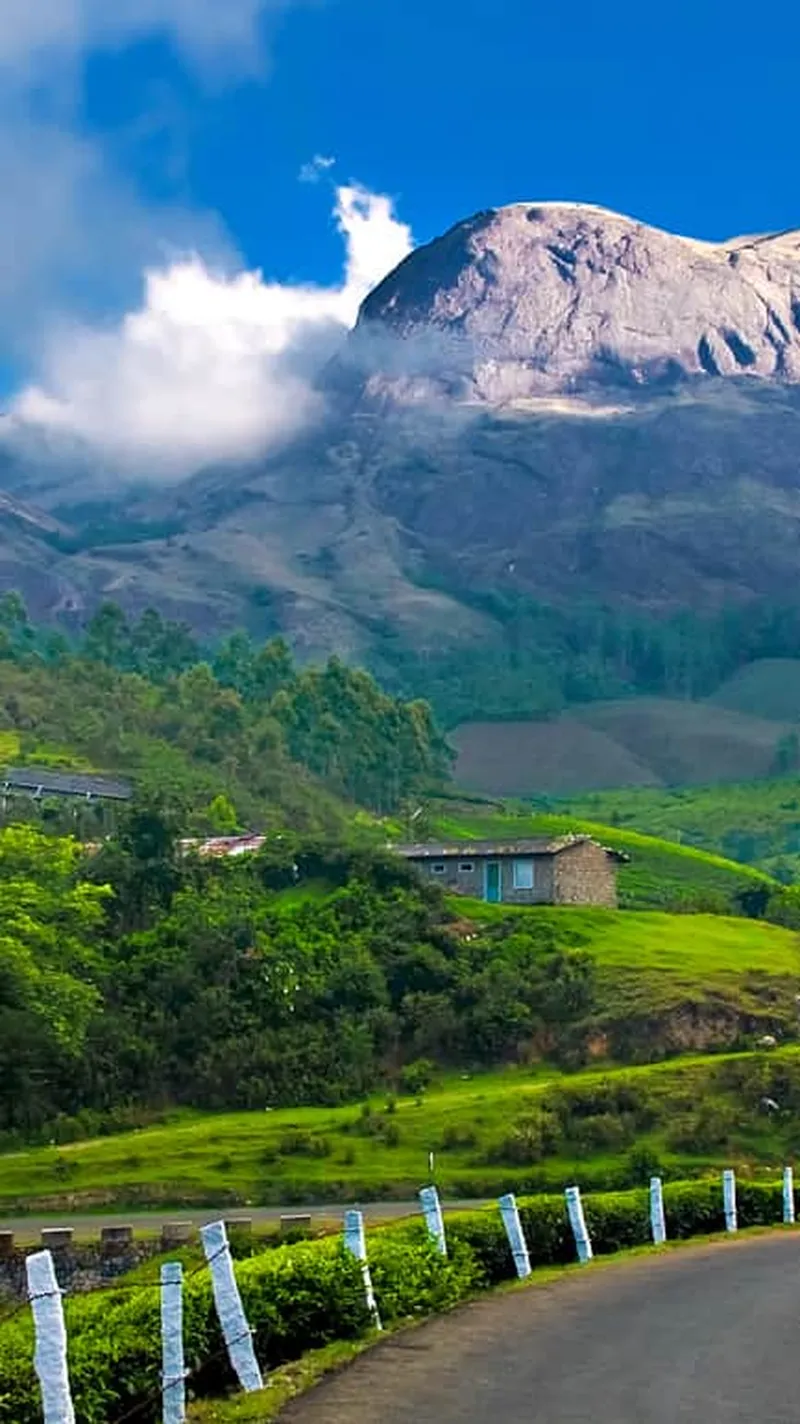 Image Munnar - Hill Station image beautiful image beautiful - Beautiful Hill Picture - Colab