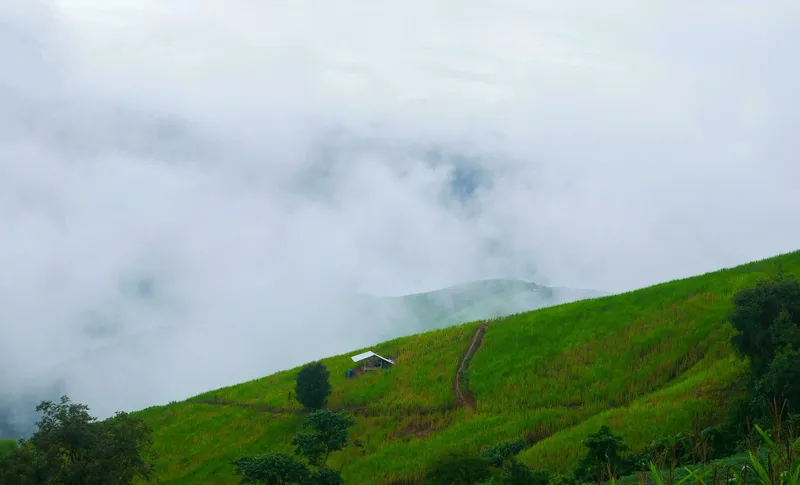 Image Munnar - Hill Station image beautiful image beautiful image beautiful - Misty landscape drifting over mountains after rain beautiful ...