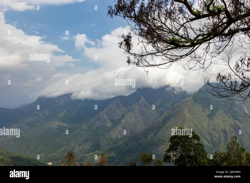 Image Munnar - Hill Station image beautiful image beautiful image beautiful - Western ghats beautiful places hi-res stock photography and images ...