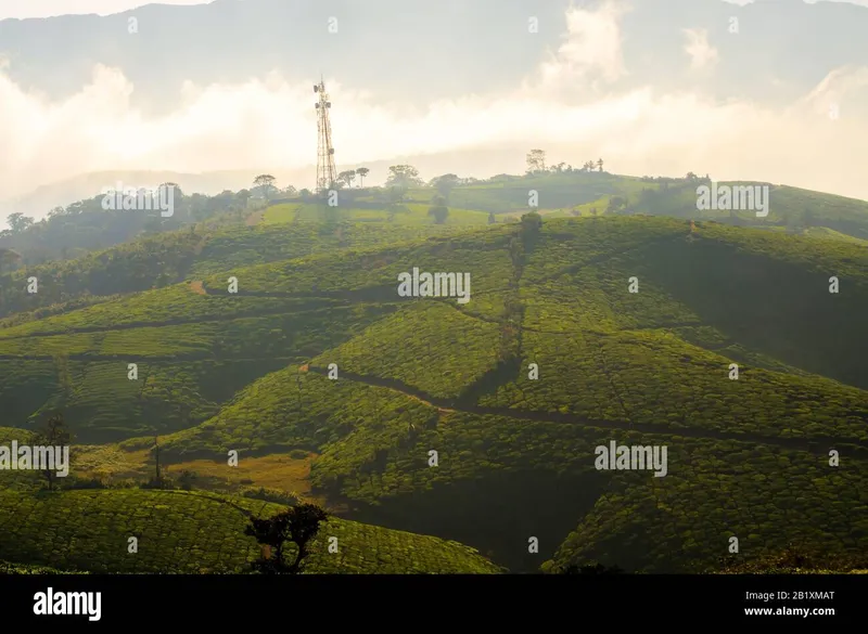 Image Munnar - Hill Station image beautiful image beautiful image beautiful - Beautiful Green Nature Wildlife Landscape at Indira Gandhi ...