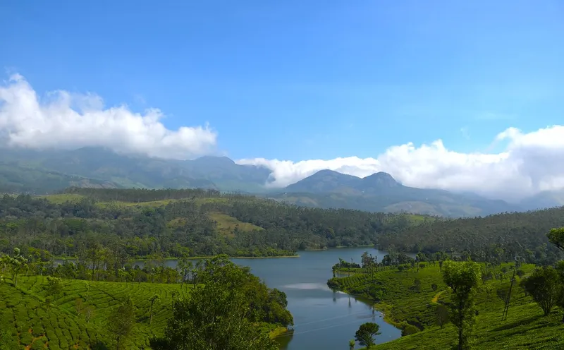 Image Munnar - Hill Station image beautiful image beautiful image beautiful image beautiful - Beautiful Munnar | Munnar is a hill station (altitude around… | Flickr