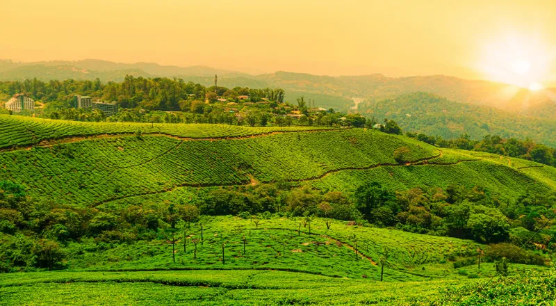 Image Munnar - Hill Station image beautiful image beautiful image beautiful image beautiful - Top 6 Beautiful Places in India You Must Visit | SMFG India Credit