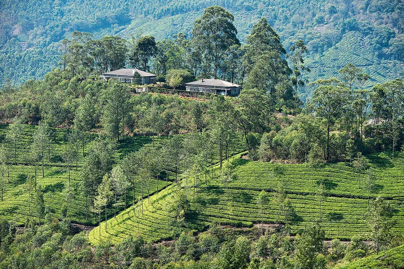 Image Munnar - Hill Station image beautiful image beautiful image beautiful image beautiful image beautiful image beautiful - The beautiful tea plantations of Munnar, a hill station in… | Flickr