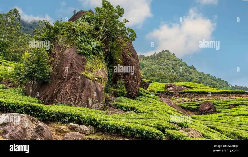 Image Munnar - Hill Station image beautiful image beautiful image beautiful image beautiful image beautiful image beautiful image beautiful - Munnar land view hi-res stock photography and images - Alamy