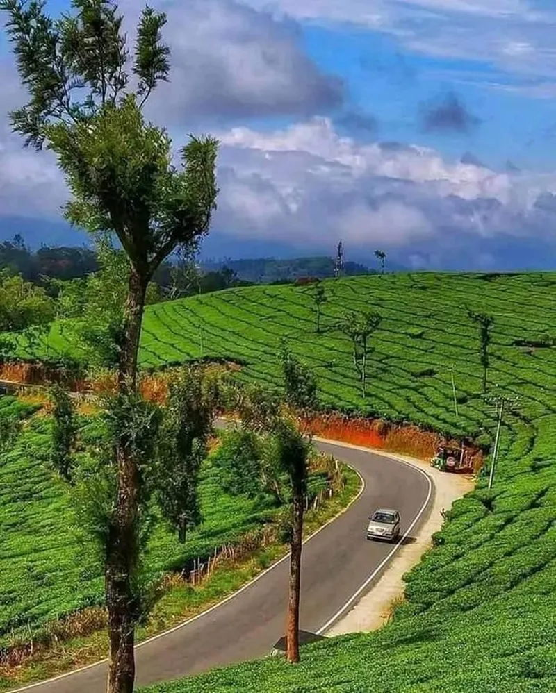 Image Munnar - Hill Station image beautiful image beautiful image beautiful image beautiful image beautiful image beautiful image beautiful - Charming beauty of Munnar Hill Station, Idukki, Kerala : r ...