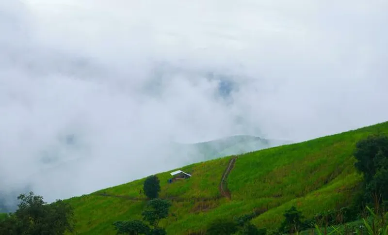 Image Munnar - Hill Station image beautiful image beautiful image beautiful image beautiful image beautiful image beautiful image beautiful image beautiful image beautiful - Misty landscape drifting over mountains after rain beautiful ...