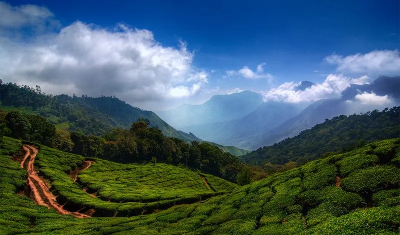 Image Munnar - Hill Station image beautiful image beautiful image beautiful image beautiful image beautiful image beautiful image beautiful image beautiful image beautiful image beautiful - The 55 Most Beautiful Places in the World – PureWow