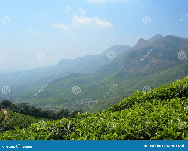 Image Munnar - Hill Station image beautiful image beautiful image beautiful image beautiful image beautiful image beautiful image beautiful image beautiful image beautiful image beautiful - Beautiful Valley View Munnar, Kerala, India Stock Image - Image of ...