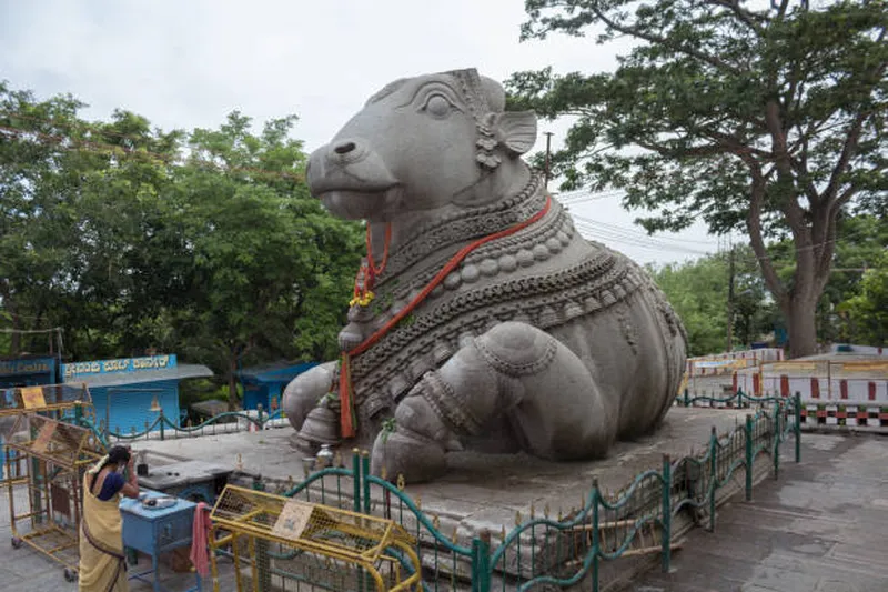 Image Mysore - Chamundi Hill image beautiful image beautiful image beautiful - 350+ Nandi Temple Bull Stock Photos, Pictures & Royalty-Free ...