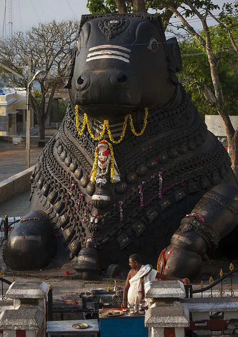 Image Mysore - Chamundi Hill image beautiful image beautiful image beautiful - Nandi Bull Giant Carving, Halfway To The Top Of Chamundi Hills ...