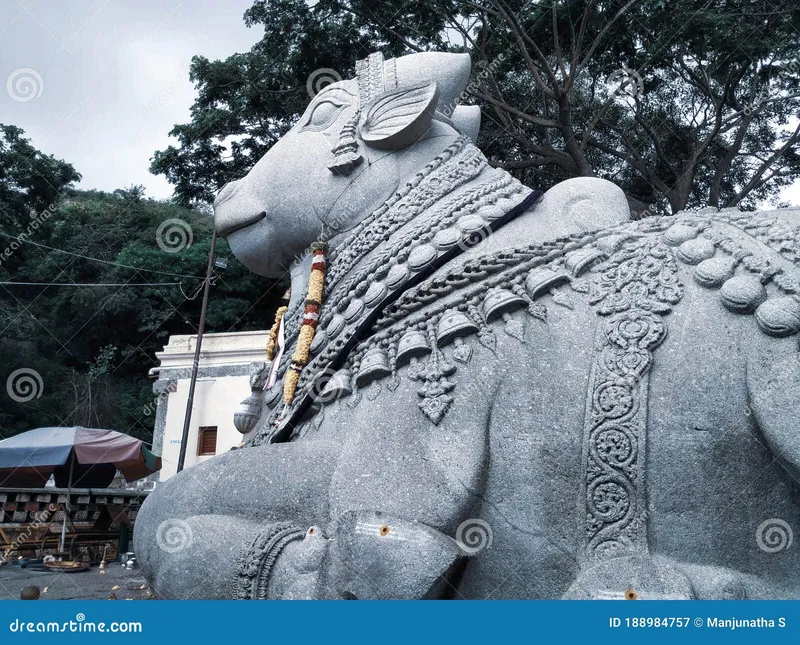 Image Mysore - Chamundi Hill image beautiful image beautiful image beautiful image beautiful image beautiful image beautiful image beautiful image beautiful image beautiful image beautiful - Beautiful View of Huge White Nandi or Basava Stone Statue in ...