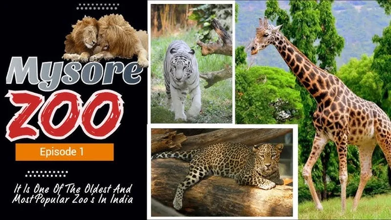 Image Mysore Zoo - One of the Oldest Zoos image beautiful - Sri Chamarajendra Zoological Gardens | Mysore Zoo Part 1 | Emmees ...