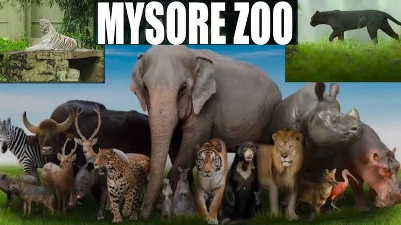 Image Mysore Zoo - One of the Oldest Zoos image beautiful image beautiful - Mysore Zoo || Sri Chamarajendra Zoological Gardens || - YouTube