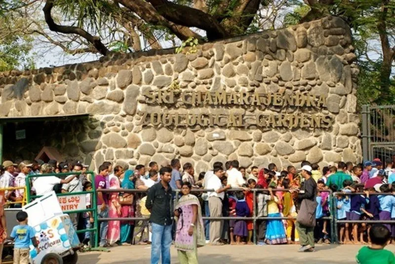 Image Mysore Zoo - One of the Oldest Zoos image beautiful image beautiful - My Travelling Tales — Amazing Experience in the Mysore Zoo