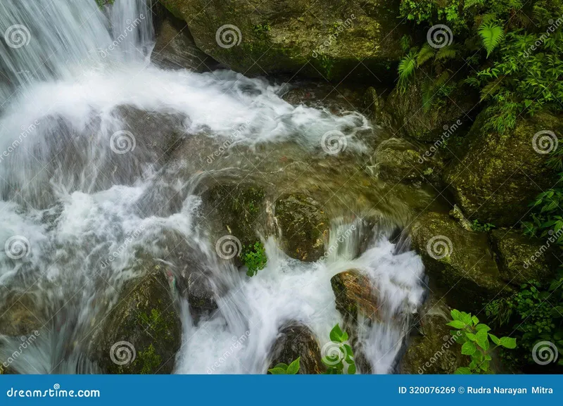 Image Narain image beautiful image beautiful image beautiful image beautiful image beautiful image beautiful image beautiful image beautiful image beautiful - Beautiful Paglajhora Waterfall on Kurseong, Himalayan Mountains of ...