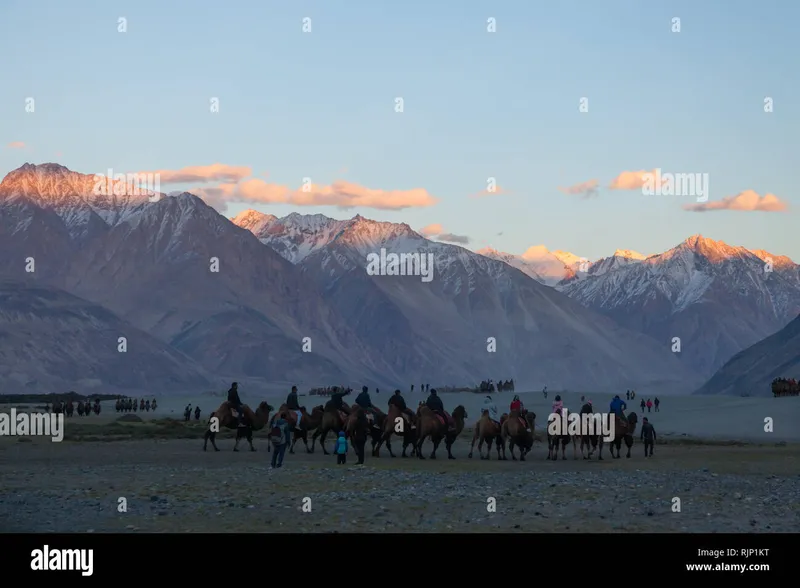 94+ most beautiful images in Nubra Valley – Sand Dunes and Bactrian Camels India