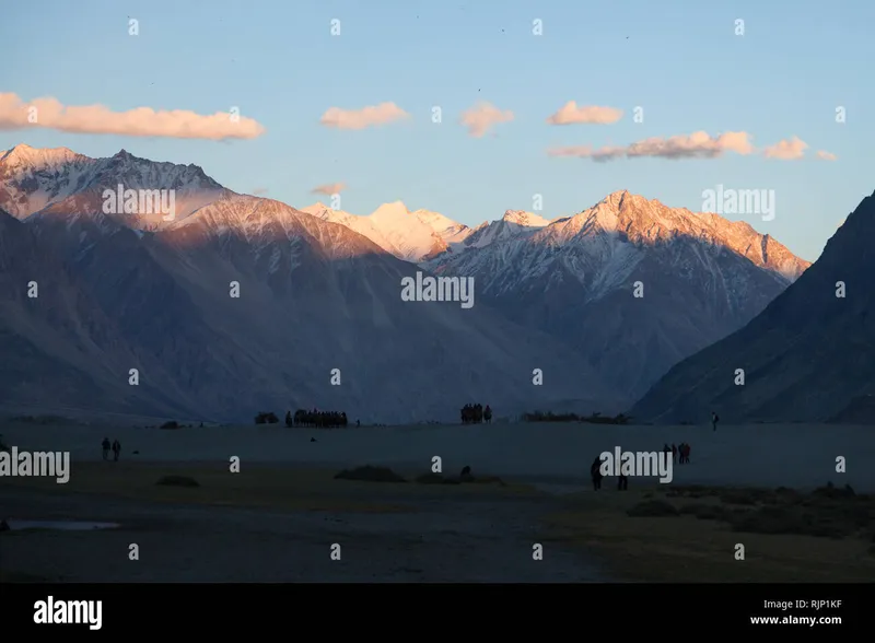 Image Nubra Valley - Sand Dunes and Bactrian Camels image beautiful image beautiful - Himalayan camels hi-res stock photography and images - Alamy